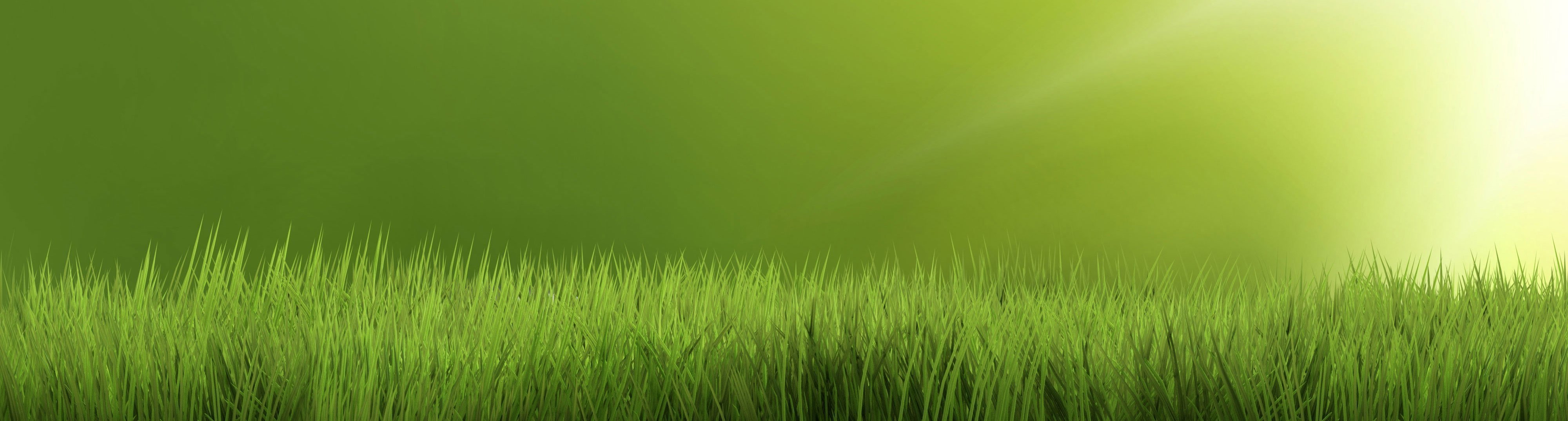 Our Services Titanium Property Services